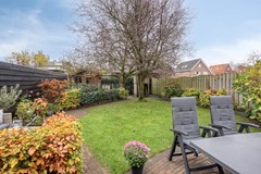 Vuurvlinderronde43905KNVeenendaalNL-48 - kopie.jpg